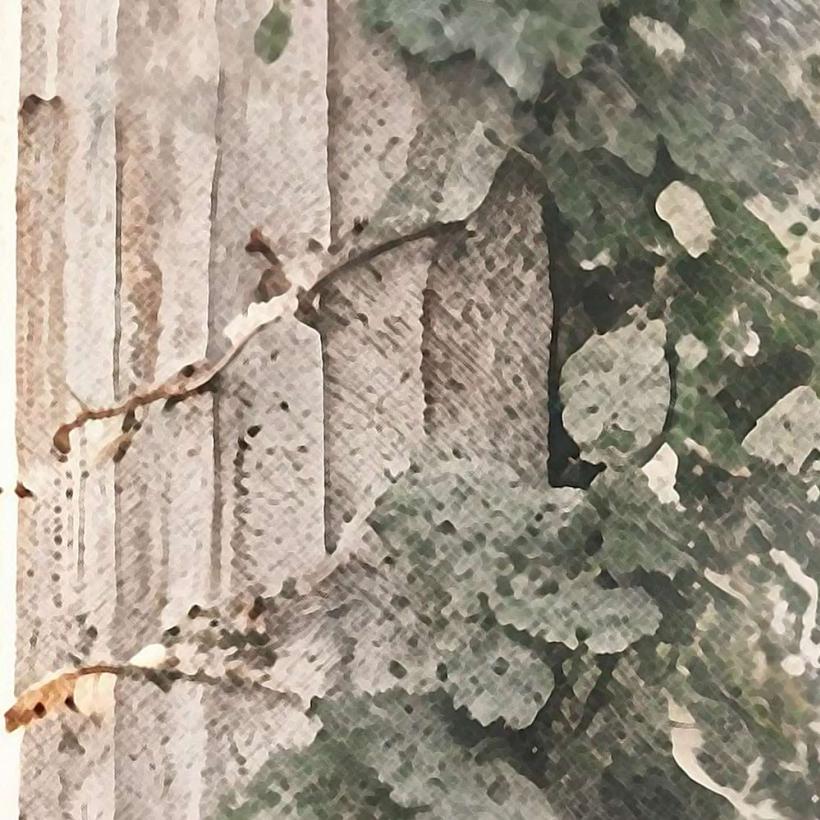 Фототапет тропическа тераса с арки